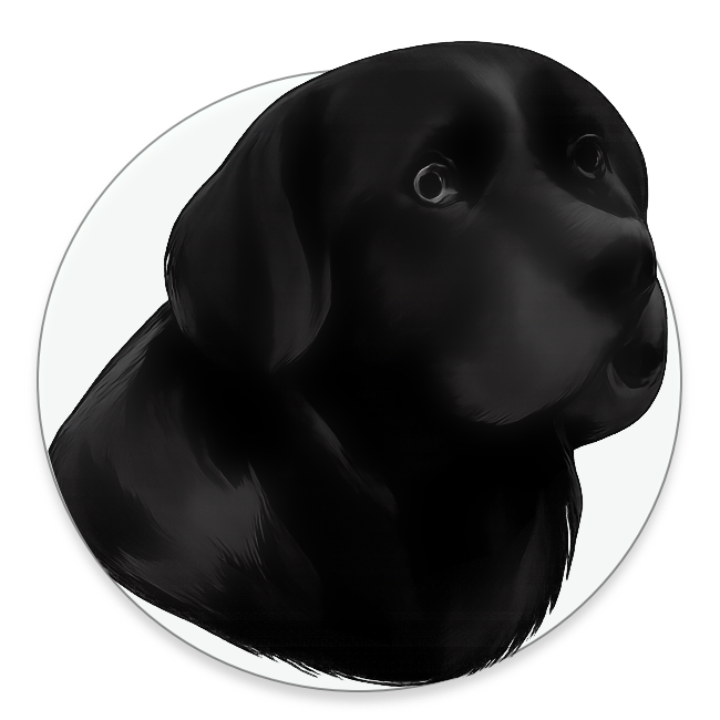 Black Lab Development